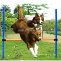 Exercice de saut de pneu d'équipement de dressage de chiens en plein air